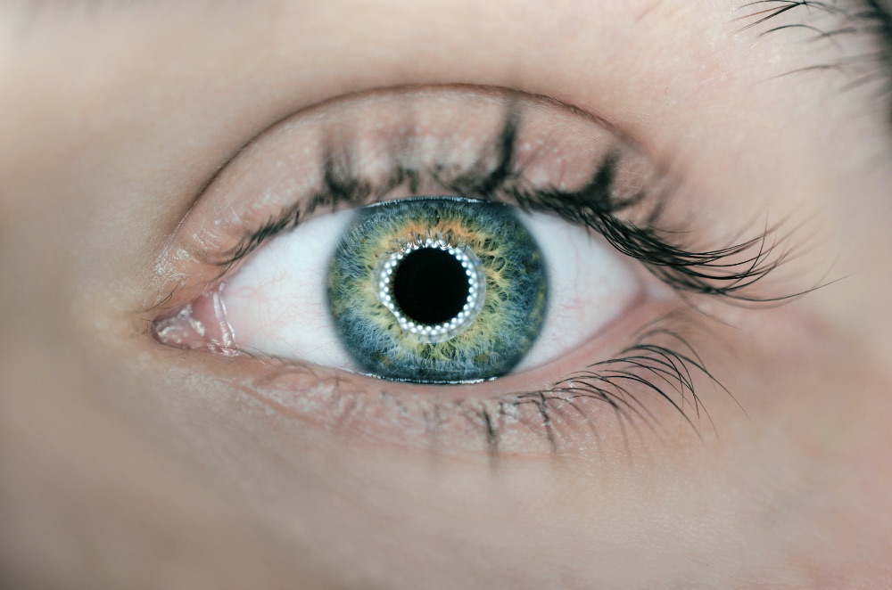 An orthokeratology contact lens on a fingertip